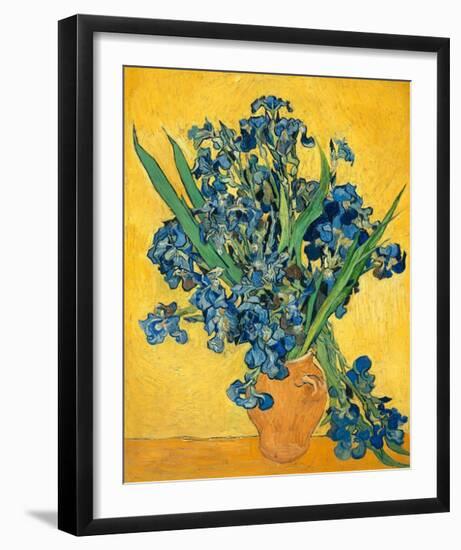 Irises, 1890-Vincent van Gogh-Framed Art Print