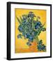 Irises, 1890-Vincent van Gogh-Framed Art Print