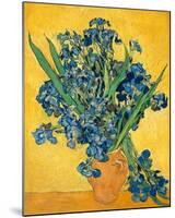 Irises, 1890-Vincent van Gogh-Mounted Art Print