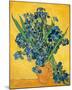 Irises, 1890-Vincent van Gogh-Mounted Art Print