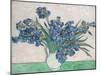 Irises, 1890-Vincent van Gogh-Mounted Giclee Print