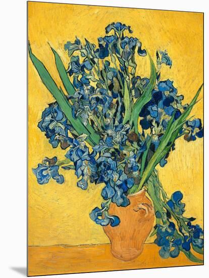 Irises, 1890-Vincent van Gogh-Mounted Art Print