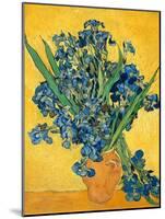 Irises, 1890-Vincent van Gogh-Mounted Art Print