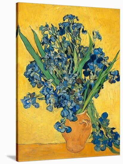 Irises, 1890-Vincent van Gogh-Stretched Canvas