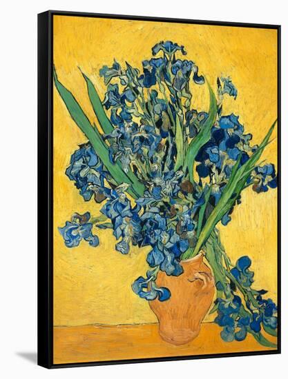 Irises, 1890-Vincent van Gogh-Framed Stretched Canvas