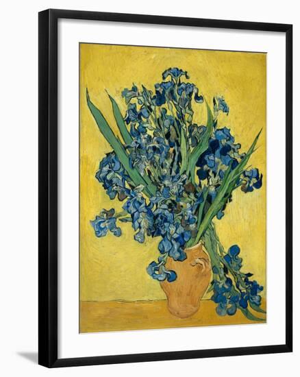 Irises, 1890-Vincent van Gogh-Framed Giclee Print