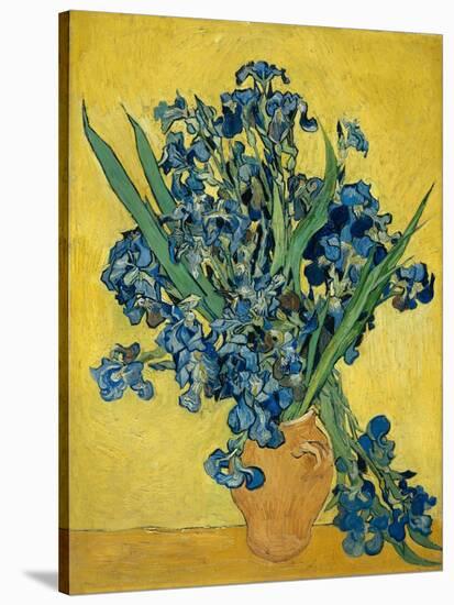 Irises, 1890-Vincent van Gogh-Stretched Canvas