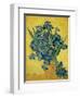 Irises, 1890-Vincent van Gogh-Framed Giclee Print