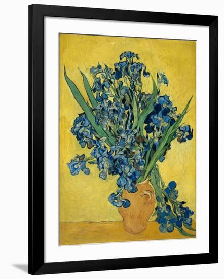Irises, 1890-Vincent van Gogh-Framed Giclee Print