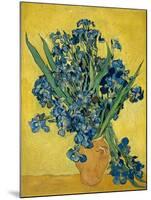 Irises, 1890-Vincent van Gogh-Mounted Giclee Print