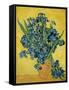 Irises, 1890-Vincent van Gogh-Framed Stretched Canvas