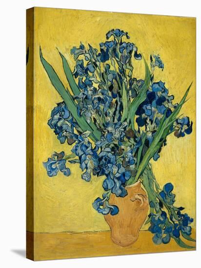 Irises, 1890-Vincent van Gogh-Stretched Canvas