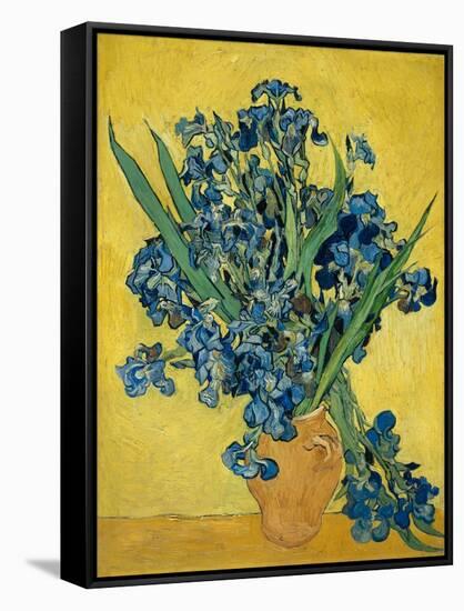 Irises, 1890-Vincent van Gogh-Framed Stretched Canvas