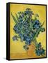 Irises, 1890-Vincent van Gogh-Framed Stretched Canvas