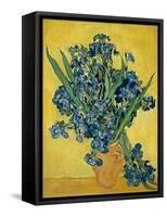 Irises, 1890-Vincent van Gogh-Framed Stretched Canvas