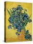 Irises, 1890-Vincent van Gogh-Stretched Canvas
