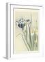 Irises, 1900-36 (Colour Woodcut)-Koson Ohara-Framed Giclee Print