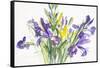 Irises, 1999-Claudia Hutchins-Puechavy-Framed Stretched Canvas