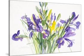 Irises, 1999-Claudia Hutchins-Puechavy-Stretched Canvas