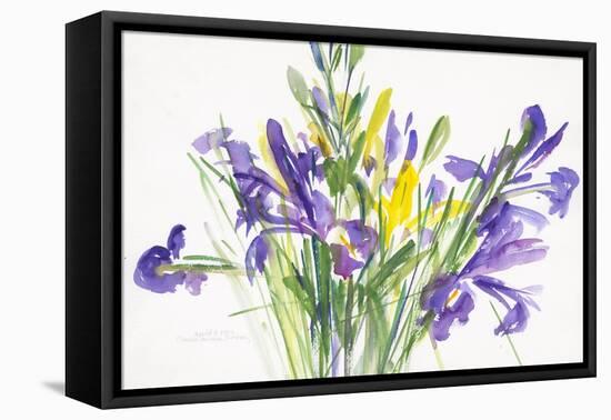 Irises, 1999-Claudia Hutchins-Puechavy-Framed Stretched Canvas