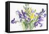 Irises, 1999-Claudia Hutchins-Puechavy-Framed Stretched Canvas