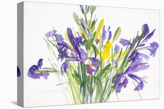 Irises, 1999-Claudia Hutchins-Puechavy-Stretched Canvas