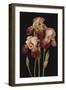 Irises, 2004-Jenny Barron-Framed Giclee Print