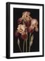 Irises, 2004-Jenny Barron-Framed Giclee Print