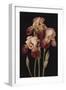 Irises, 2004-Jenny Barron-Framed Giclee Print