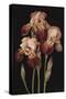 Irises, 2004-Jenny Barron-Stretched Canvas