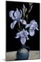 Irises, 2010-James Gillick-Mounted Giclee Print