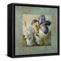 Irises after the Rain-Lanie Loreth-Framed Stretched Canvas