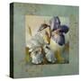 Irises after the Rain-Lanie Loreth-Stretched Canvas