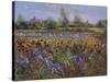 Irises and Burgate Green-Timothy Easton-Stretched Canvas