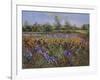 Irises and Burgate Green-Timothy Easton-Framed Giclee Print