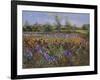 Irises and Burgate Green-Timothy Easton-Framed Giclee Print