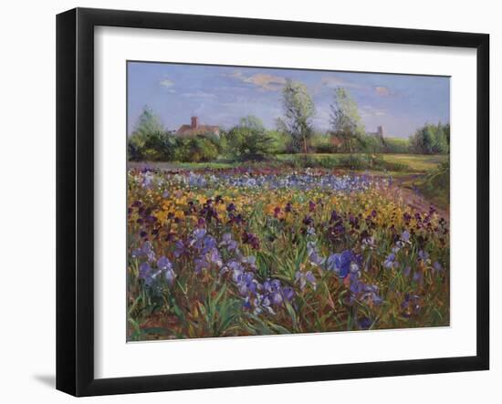 Irises and Burgate Green-Timothy Easton-Framed Giclee Print