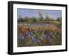 Irises and Burgate Green-Timothy Easton-Framed Giclee Print