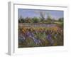 Irises and Burgate Green-Timothy Easton-Framed Giclee Print