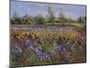 Irises and Burgate Green-Timothy Easton-Mounted Giclee Print