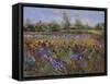 Irises and Burgate Green-Timothy Easton-Framed Stretched Canvas