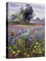 Irises and Distant May Tree, 1993-Timothy Easton-Stretched Canvas