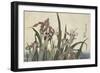 Irises and Grasshopper, Pub. by Nishimura Eijudo, C.1832-Katsushika Hokusai-Framed Giclee Print