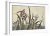 Irises and Grasshopper, Pub. by Nishimura Eijudo, C.1832-Katsushika Hokusai-Framed Giclee Print