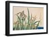 Irises and Grasshopper-Katsushika Hokusai-Framed Art Print