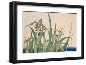 Irises and Grasshopper-Katsushika Hokusai-Framed Art Print