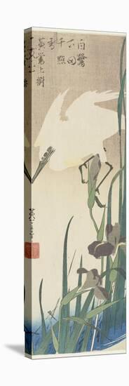 Irises and Heron, 1832-1834-Utagawa Hiroshige-Stretched Canvas