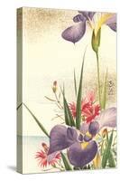 Irises and Other Flowers-null-Stretched Canvas