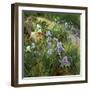 Irises and Oxeye Daisies, 1997-Timothy Easton-Framed Giclee Print