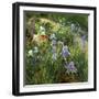 Irises and Oxeye Daisies, 1997-Timothy Easton-Framed Giclee Print